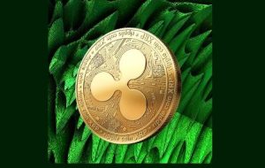 ریپل (XRP) با ثبت بزرگترین موج ضررهای محقق‌شده از ۲۰۲۲، ۴ درصد سقوط کرد